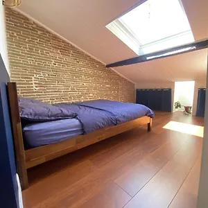 Le Saint Cyp - Briques Et Charme A Appartement Toulouse